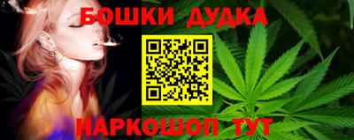тгк Владивосток