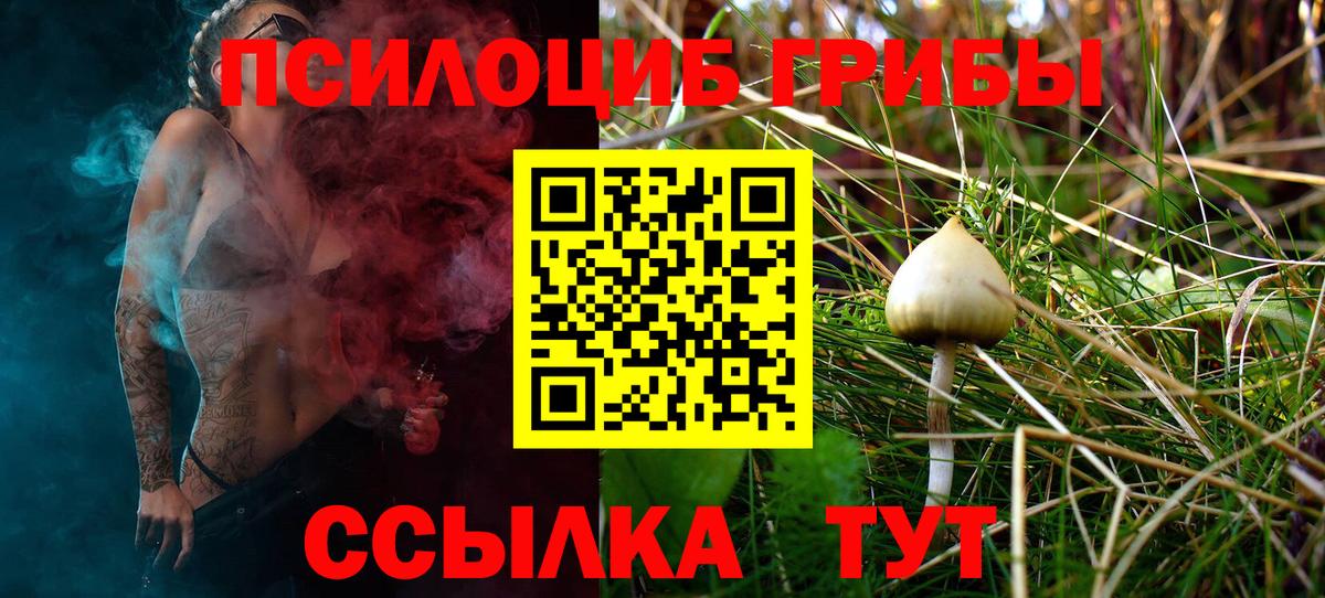 Псилоцибиновые грибы Psilocybine cubensis Благодарный