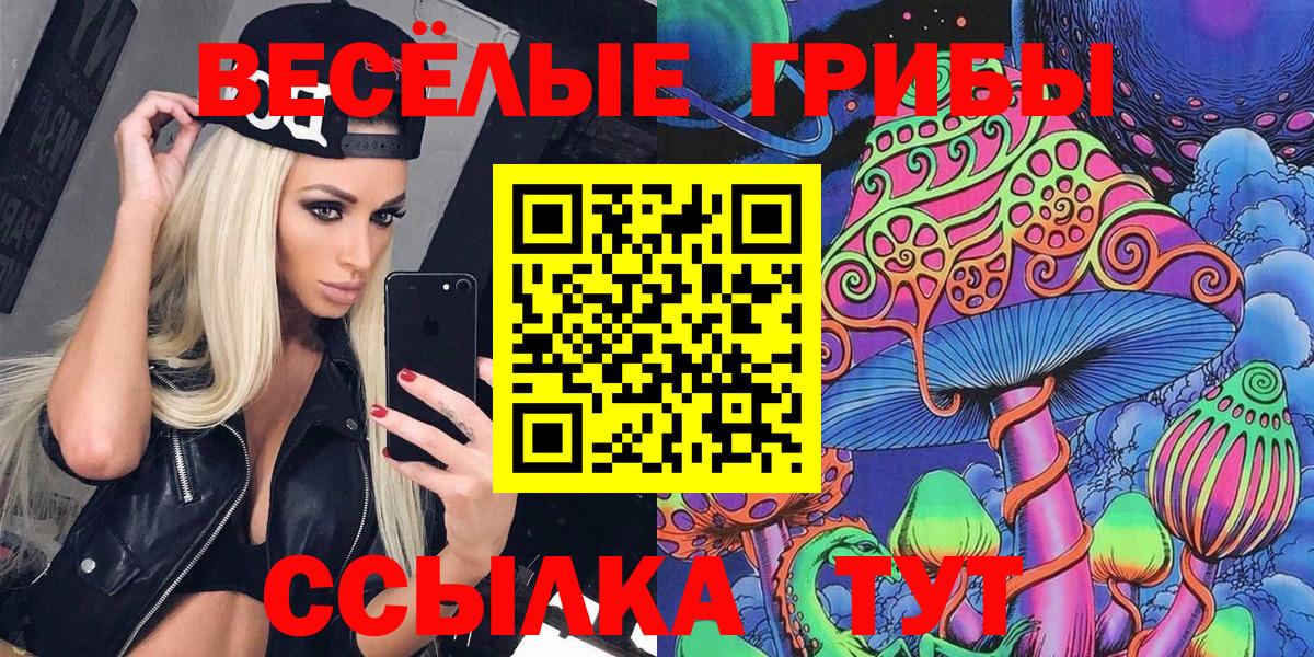 Псилоцибиновые грибы мицелий  Благодарный  купить  цена  Псилоцибиновые грибы прущие грибы 