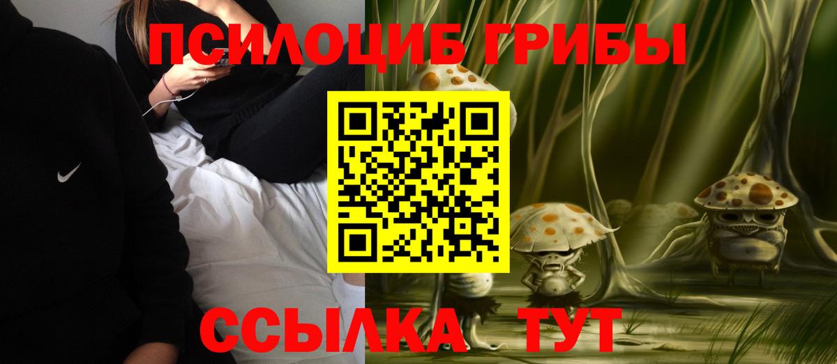 Псилоцибиновые грибы Psilocybe  купить  цена  Благодарный  Вход с VPN 