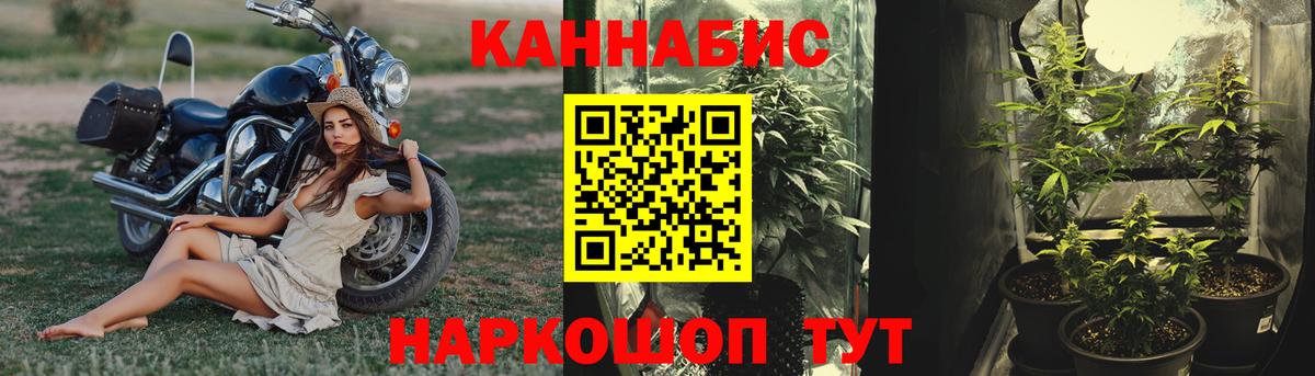 Канабис White Widow  Шишки марихуана тримм  Благодарный  Бошки Шишки LSD WEED 
